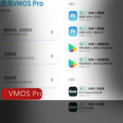 手机最最好用的虚拟大师软件（VMOS Pro）专业版v1.4.2